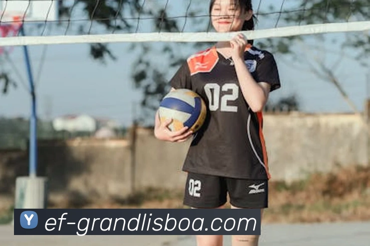 新葡京娱乐平台生态图