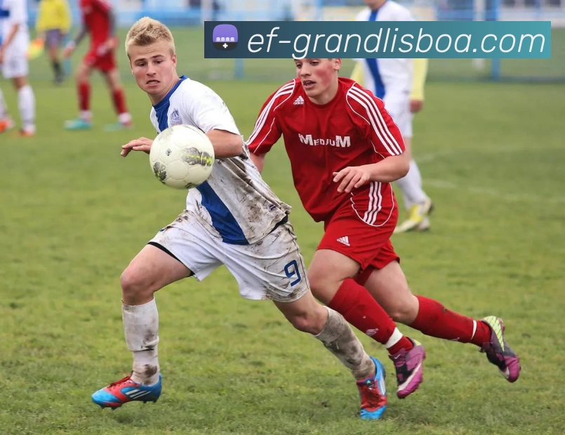 新葡京娱乐APP 封面图