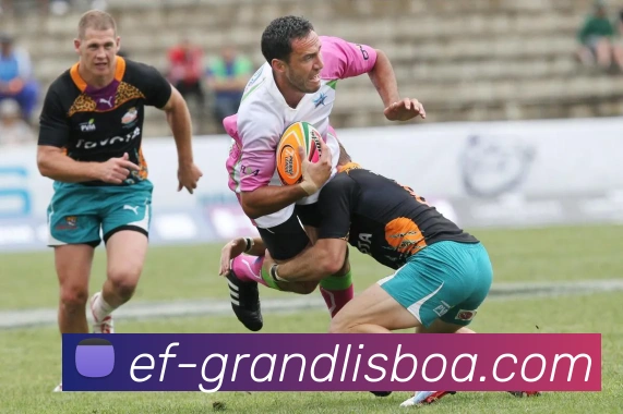 数据防护可视化